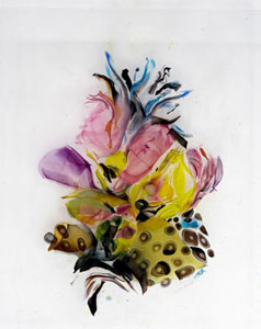 Plate 21 Orchid
