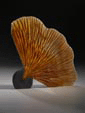 Image of Work by Artist Alex Gabriel Bernstein
