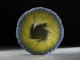 Image of Work by Artist Alex Gabriel Bernstein