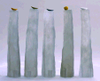 Image of Work by Artist Naomi Shioya